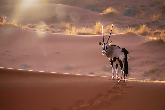 Voyage : Safari, dunes et ethnies Voyage Safari, dunes et ethnies
