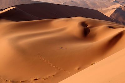 © Luce Piton - Sossusvlei et Dead Vlei - Désert du Namib - Namibie Sossusvlei et Dead Vlei - Désert du Namib - Namibie