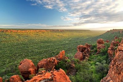 © African Eagle - Waterberg - Namibie Waterberg - Namibie