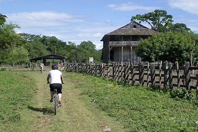 Sur le chemin du ranch - Nicaragua