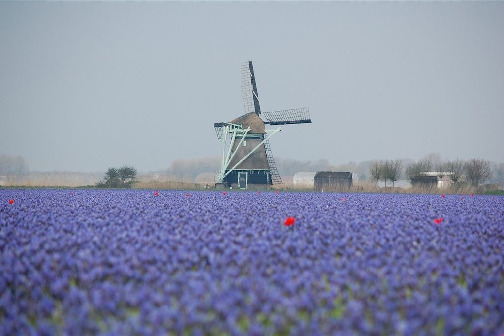 Voyage D'Amsterdam à Bruges à vélo 3