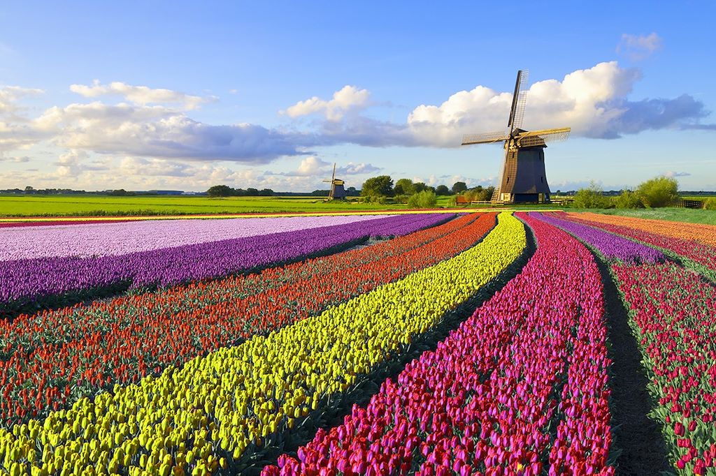 Voyage Vélo et péniche, les tulipes au fil de l’eau  2
