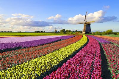 Voyage Vélo et péniche, les tulipes au fil de l’eau  3