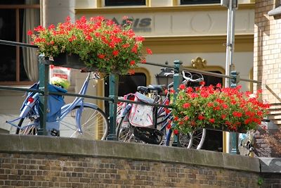 © Frank Houtstra - Le canal d'Amsterdam - Pays-Bas Le canal d'Amsterdam - Pays-Bas