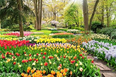 © neirfy / iStock - Jardins de Keukenhof - Pays-Bays Jardins de Keukenhof - Pays-Bays