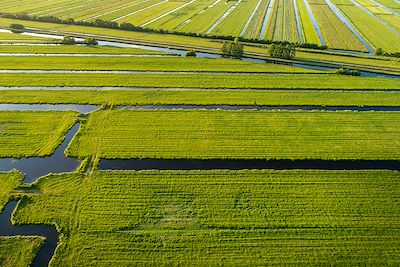 © Cultura / hemis.fr - Vue aérienne de polders près de Gouda - Pays-Bas Vue aérienne de polders près de Gouda - Pays-Bas