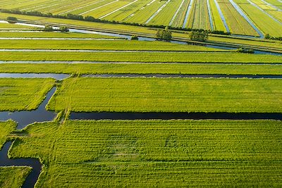 Vue aérienne de polders près de Gouda - Pays-Bas