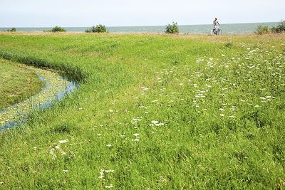 Ijsselmeer - Pays-Bas