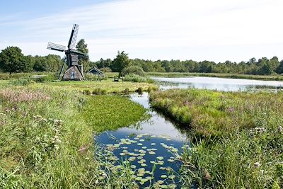 Weerribben - Pays-Bas