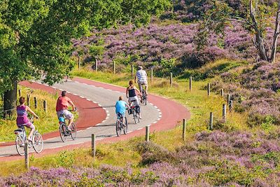 Vélo dans le parc national Veluwe - Pays-Bas