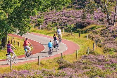 Voyage Le tour d'IJsselmeer à vélo 2