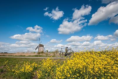 Voyage Rotterdam et la Hollande du sud à vélo en famille 1