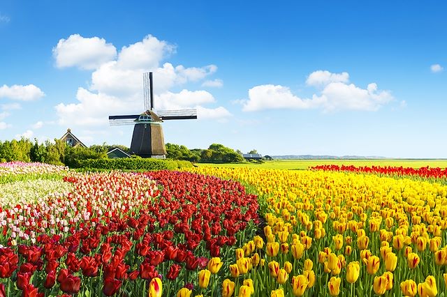 Forêts, collines, rivières et lacs : Vélo et péniche, les tulipes au fil de l’eau Voyage Vélo et péniche, les tulipes au fil de l’eau