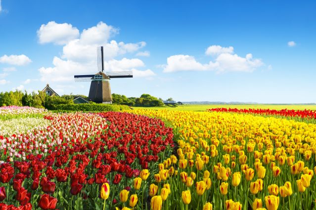 Pays-Bas : Patrimoine et Nature