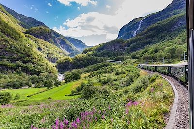 Vue du train Flamsbana - Norvège