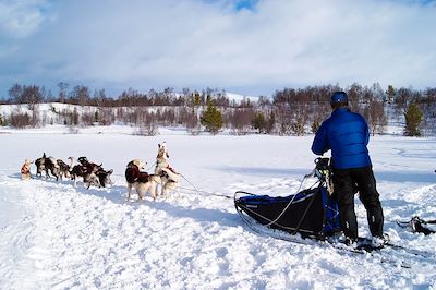 Chiens de traineau - Norvège