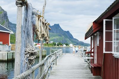 Reine - Moskenesøya - Îles Lofoten - Norvège