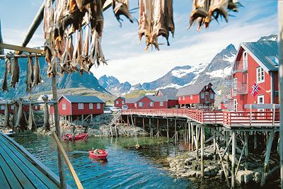 Lofoten - Norvège