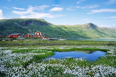 Voyage Du Jotunheimen aux fjords d'Alesund 1