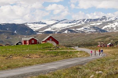 Jotunheimvegen - Jotunheimen - Norvège 