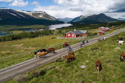 Jaslangen - Innlandet - Norvège