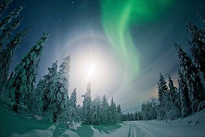 Hauts Plateaux de Kilpisjarvi - Laponie - Finlande