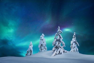 Voyage Aventures hivernales au cœur de la Laponie 1