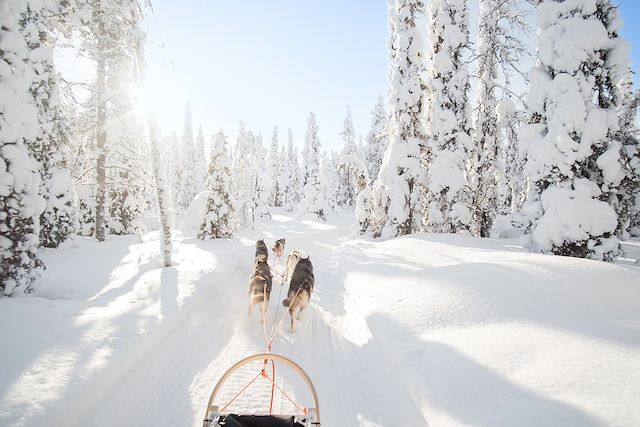 Voyage Aventures hivernales au cœur de la Laponie