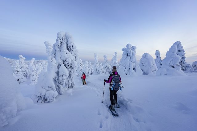 Voyage Aventures hivernales au cœur de la Laponie