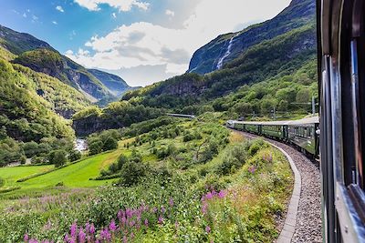 © HildaWeges / Getty Images - Vue du train Flamsbana - Norvège Vue du train Flamsbana - Norvège