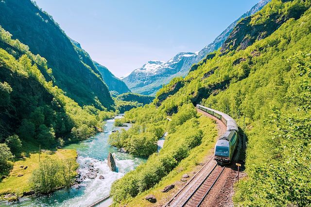 Randonnée : D'Oslo à Bergen en train et magnifique Sognefjord Voyage D'Oslo à Bergen en train et magnifique Sognefjord