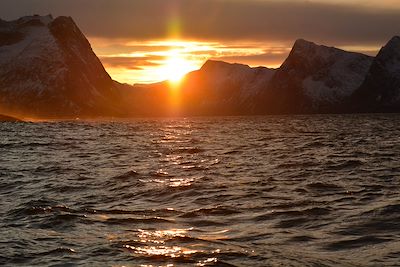 © Mefjord Brygge - Mefjord Brygge - Senjahopen - Norvège Mefjord Brygge - Senjahopen - Norvège