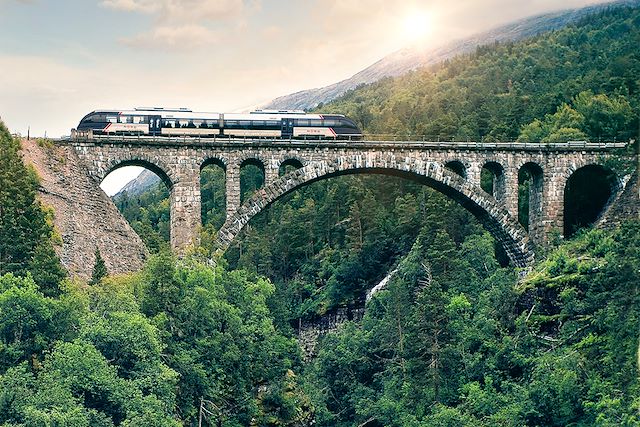 Voyage : De Oslo à Bergen en train mythique Voyage De Oslo à Bergen en train mythique