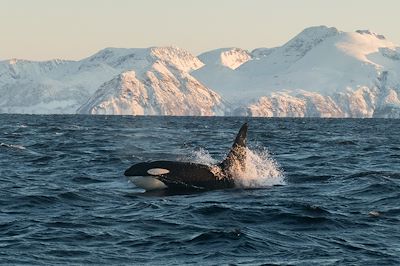 Voyage  Cap Nord