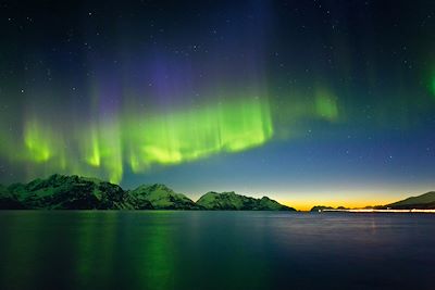 Voyage Iles Lofoten