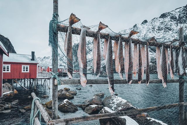 Raquette Norvège Iles Lofoten