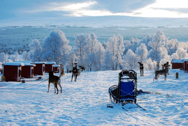 Voyage Parenthèse hivernale en Norvège