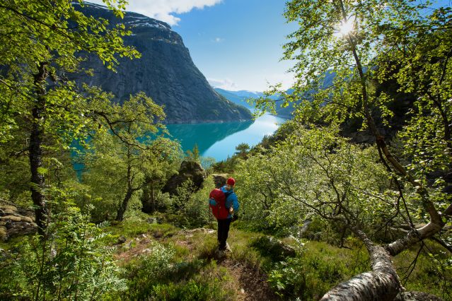 Voyage Kayak et randonnées dans les fjords