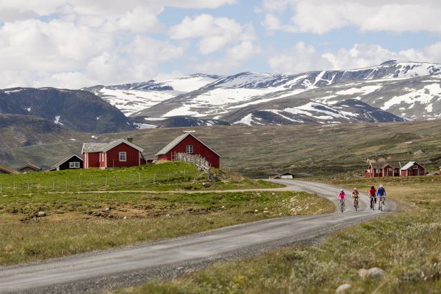 Voyage A vélo entre fjords et montagnes du Jotunheimen 1
