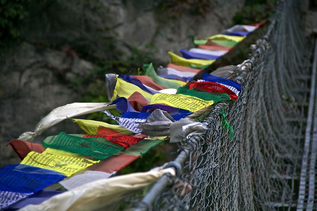 Voyage Tour des Annapurnas 1