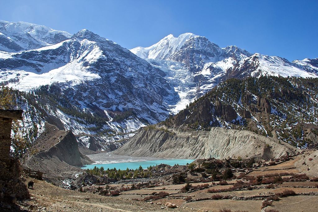 Voyage Tour des Annapurnas 3