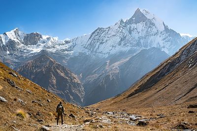 Sanctuaire des Annapurnas : au cœur de l'Himalaya