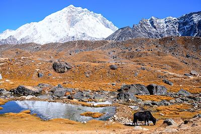 © Rémi Lasseigne - Vallée du Khumbu - Himalaya - Népal Vallée du Khumbu - Himalaya - Népal