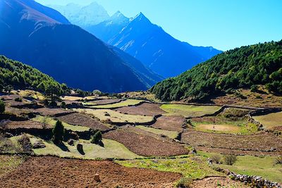 © Rémi Lasseigne - Khumbu - Himalaya - Népal Khumbu - Himalaya - Népal
