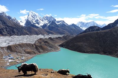 © Laurent Vivien Raguet - Lac de Gokyo - Khumbu - Népal Lac de Gokyo - Khumbu - Népal