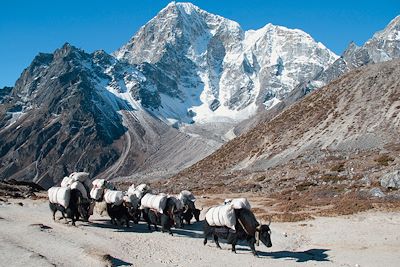 © Jean Bernard Desbat - Vallée de l'Everest - Népal Vallée de l'Everest - Népal
