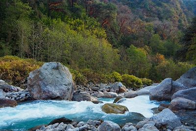 © Thomas Callens - Vallée du Langtang - Népal Vallée du Langtang - Népal