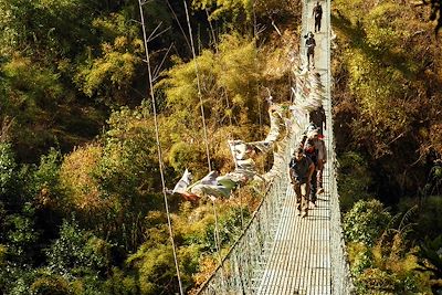 © Thomas Callens - Vallée du Langtang - Népal Vallée du Langtang - Népal