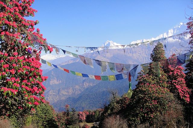 Forêts, collines, rivières et lacs : Balcon et sanctuaire des Annapurnas Voyage Balcon et sanctuaire des Annapurnas
