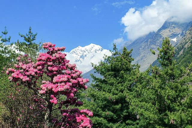 Forêts, collines, rivières et lacs : Balcon et sanctuaire des Annapurnas Voyage Balcon et sanctuaire des Annapurnas